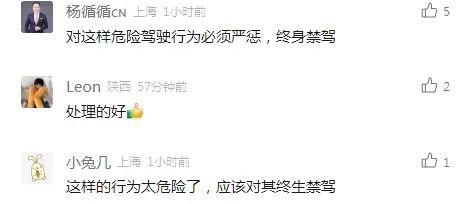 上海一男子路怒，高架上故意变道急刹让后车追尾！警方：行拘