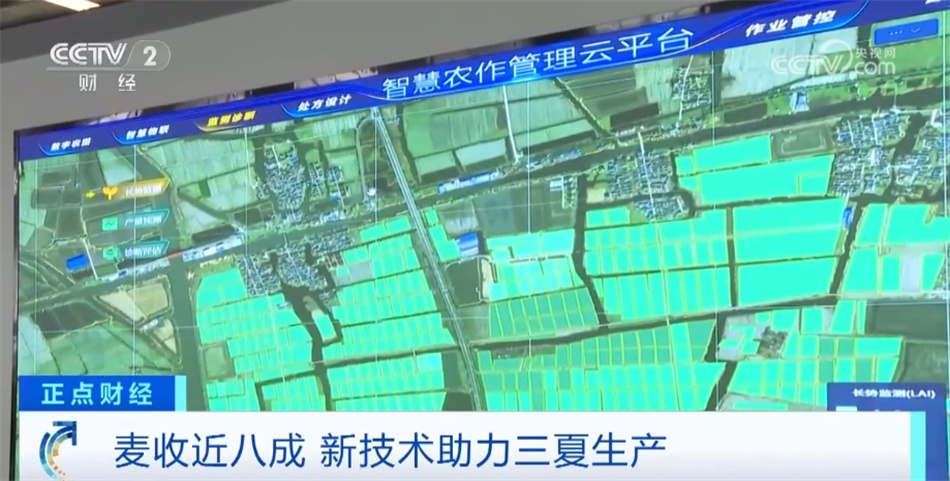 全国麦收进度已近八成 新技术、新措施扎实推进“三夏”生产