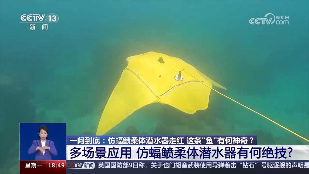 仿蝠鲼柔体潜水器走红 这条“鱼”有何神奇？