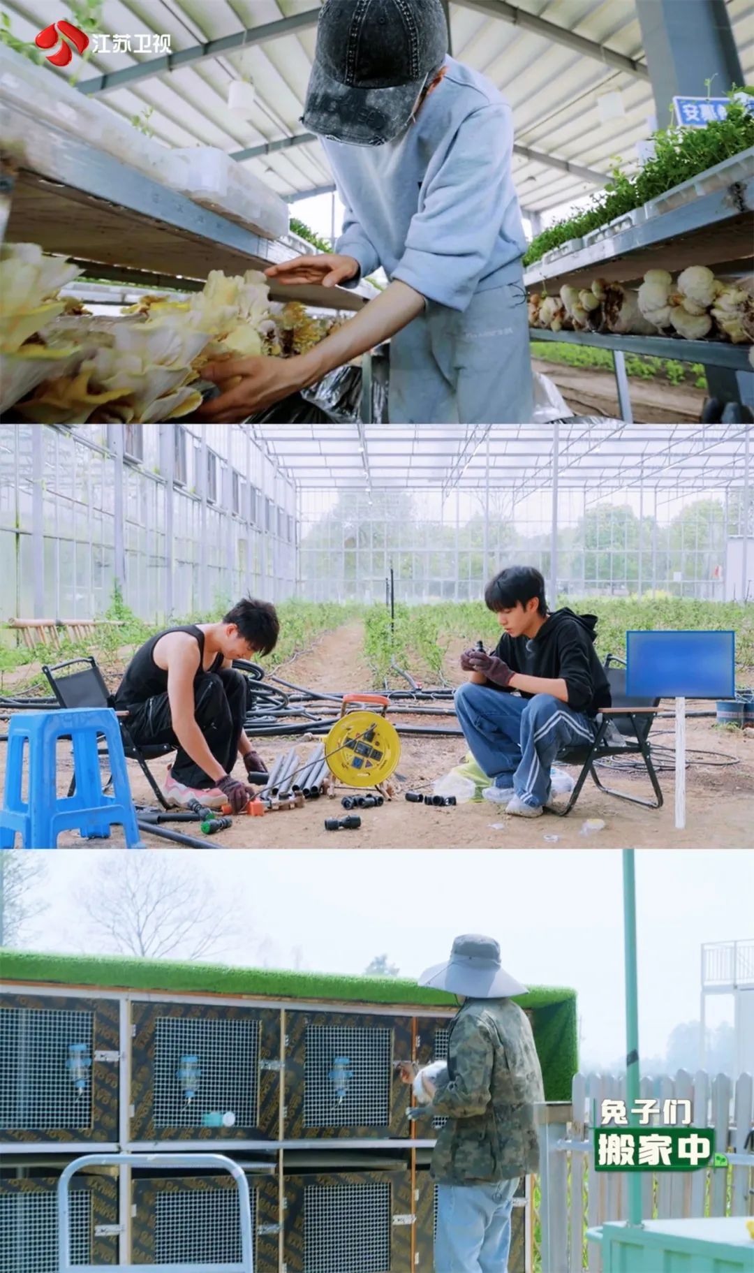 江苏卫视《种地吧2》十个勤天风雨无阻搬蜂箱