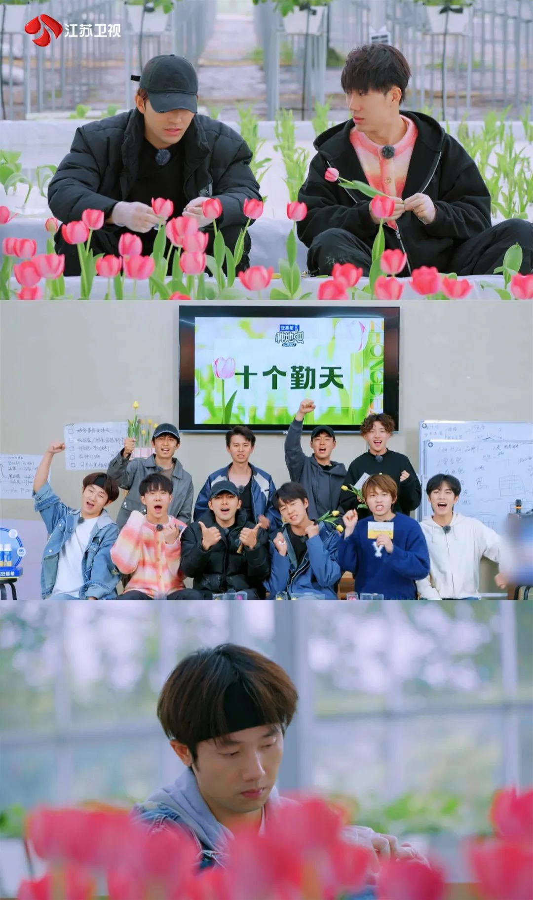 江苏卫视《种地吧2》十个勤天风雨无阻搬蜂箱