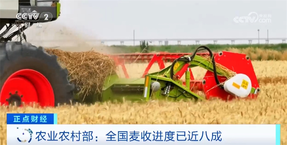 全国麦收进度已近八成 新技术、新措施扎实推进“三夏”生产