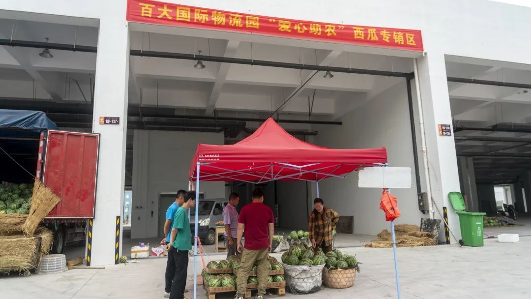 价格大降！低至几毛钱一斤！合肥正大量上市