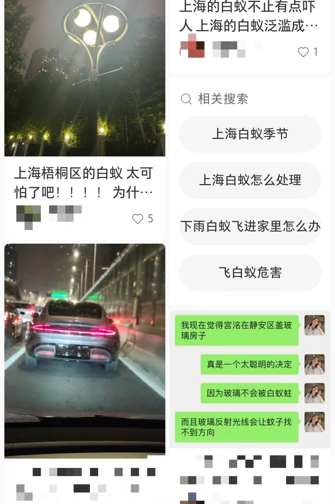 “直接往我脸上扑！”上海市民“崩溃”了，昨晚白蚁“军团”集体出击→