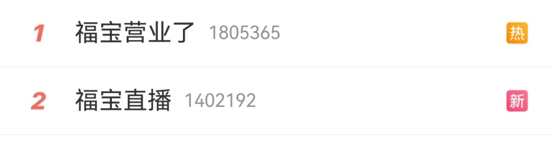 萌熊登场!“福宝”正式与公众见面,这份看“福”攻略请查收 萌熊登场!“福宝”正式与公众见面,这份看“福”攻略请查收