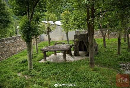 你想知道的关于“福宝”的问题，都在这里了