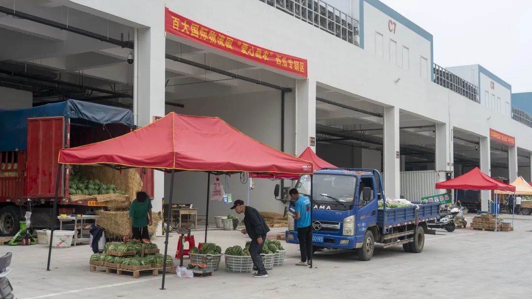 价格大降！低至几毛钱一斤！合肥正大量上市