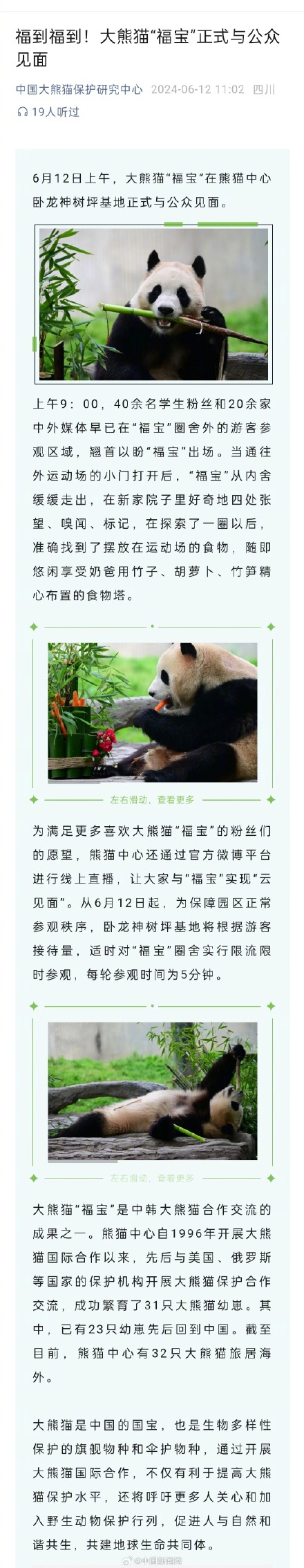 福宝圈舍限流限时参观 每轮5分钟