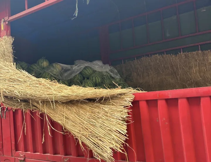 价格突然大跳水!低至几毛钱一斤?不少昆明人很爱...... 价格突然大跳水!低至几毛钱一斤?不少昆明人很爱......