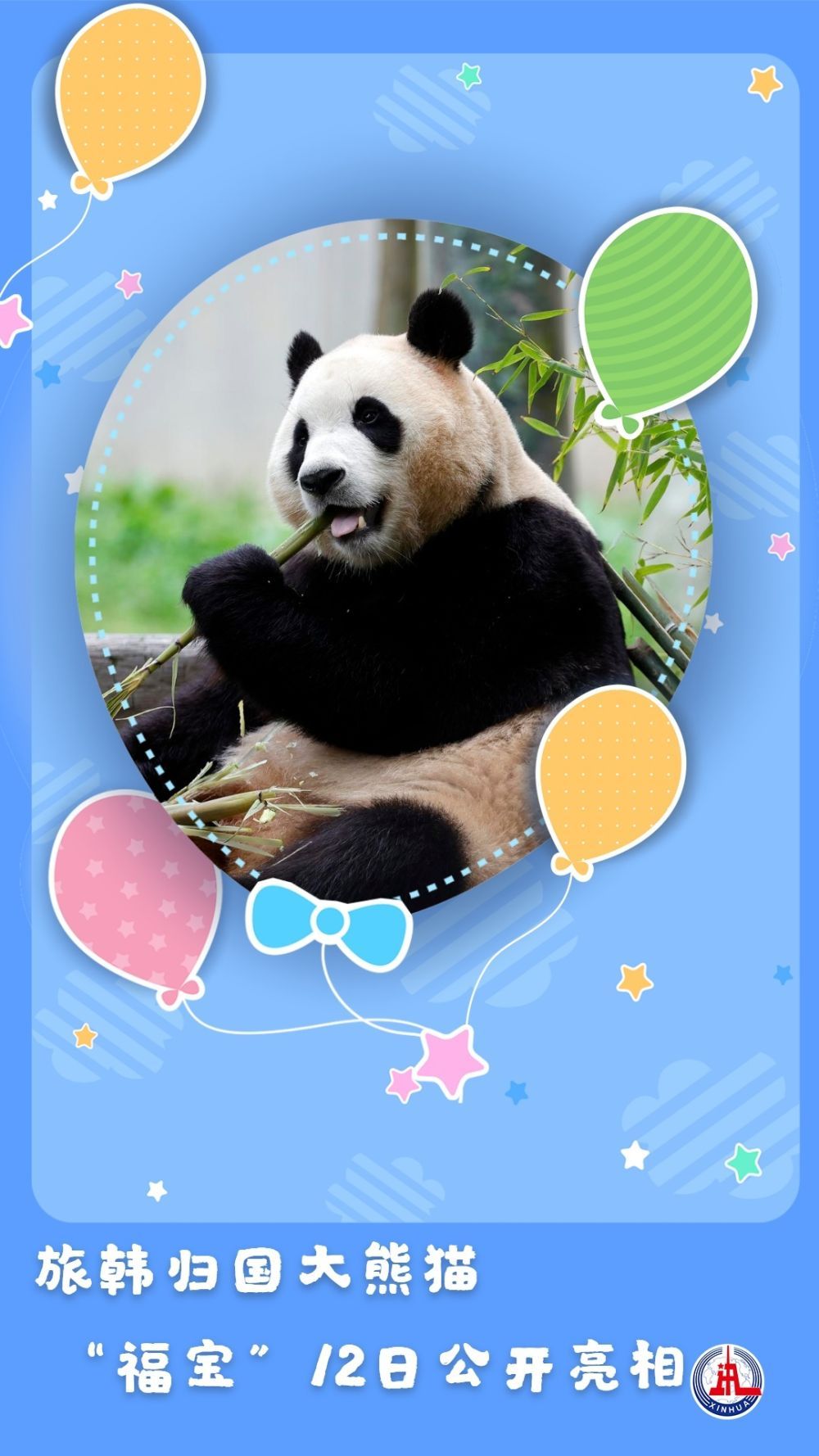 快来接“福”!旅韩归国大熊猫“福宝”正式亮相 快来接“福”!旅韩归国大熊猫“福宝”正式亮相