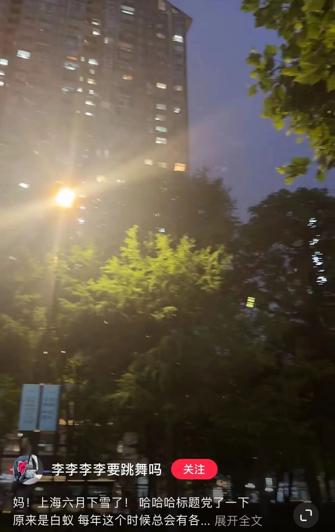 上海昨晚白蚁“大爆发”？冲上热搜！鸡皮疙瘩掉一地，这一波还将持续到...