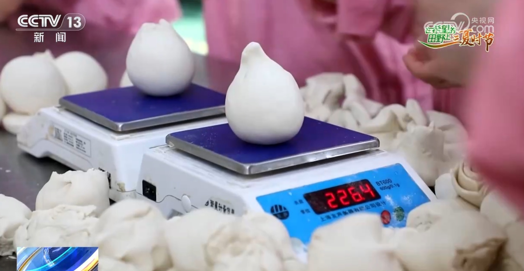 破“碱”重生提产量、壮产业 盐碱地治理助力端稳端牢“中国饭碗”