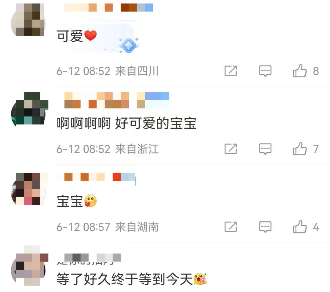 萌熊登场!“福宝”正式与公众见面,这份看“福”攻略请查收 萌熊登场!“福宝”正式与公众见面,这份看“福”攻略请查收