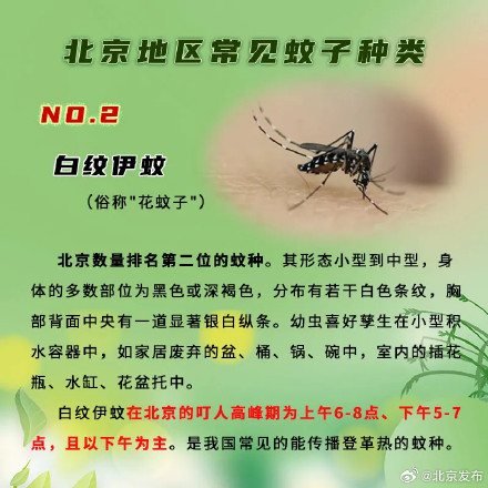 北京蚊虫叮咬指数发布,这区最高!这俩时段易被常见蚊子咬 北京蚊虫叮咬指数发布,这区最高!这俩时段易被常见蚊子咬