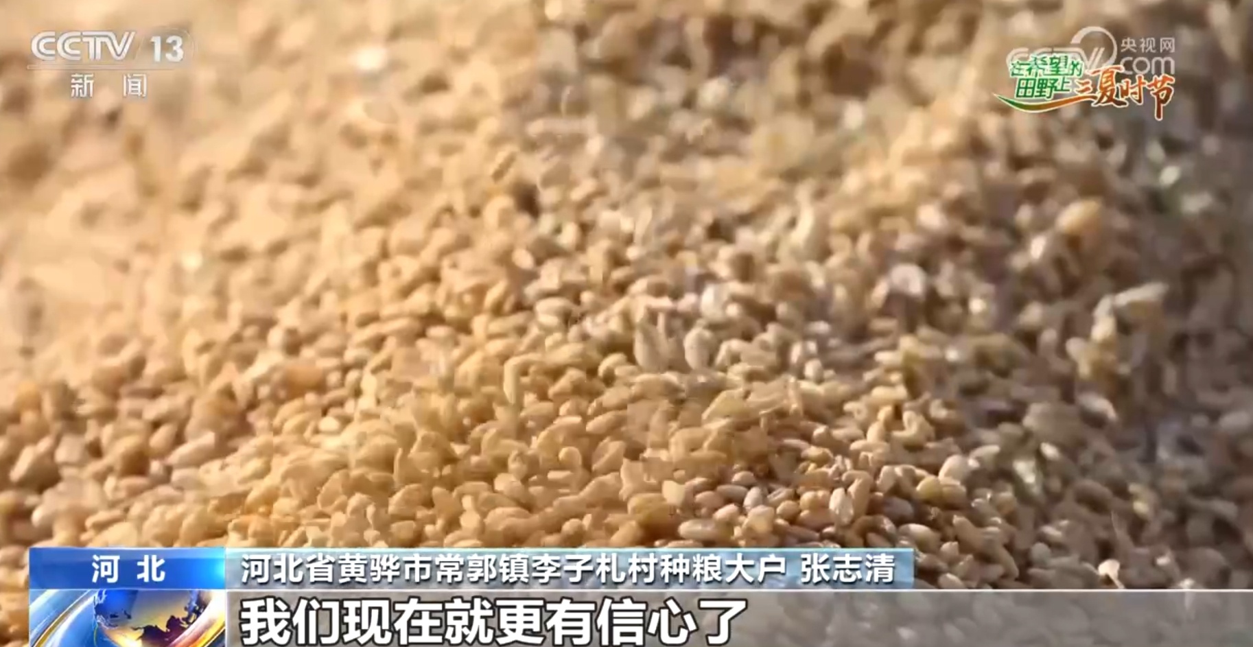 破“碱”重生提产量、壮产业 盐碱地治理助力端稳端牢“中国饭碗”