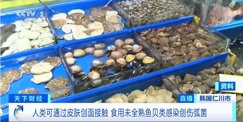 致死率达50%!韩国多地海域检测出病菌,已致一人死亡 致死率达50%!韩国多地海域检测出病菌,已致一人死亡