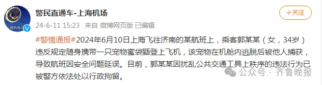 宠物带上飞机,跑了……34岁女子被行拘 宠物带上飞机,跑了……34岁女子被行拘