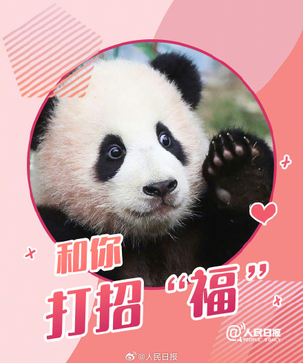 接福啦!收藏福宝送福表情包 接福啦!收藏福宝送福表情包