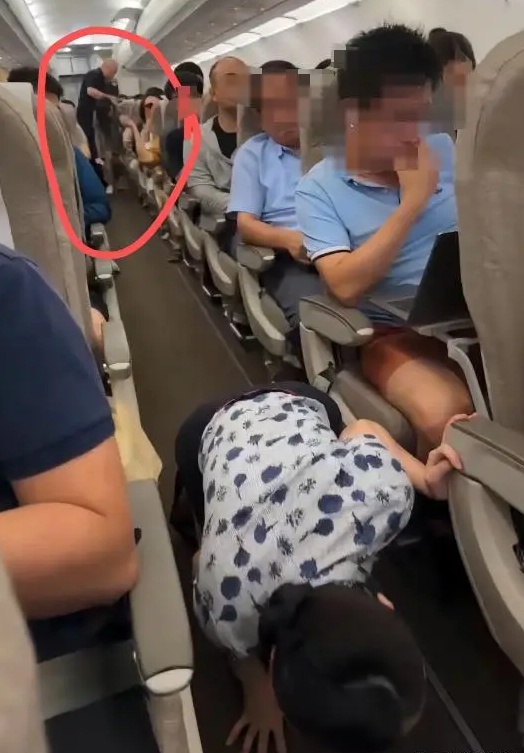 女子将宠物带上飞机致全体乘客被迫下机，上海机场警方通报：已行拘！