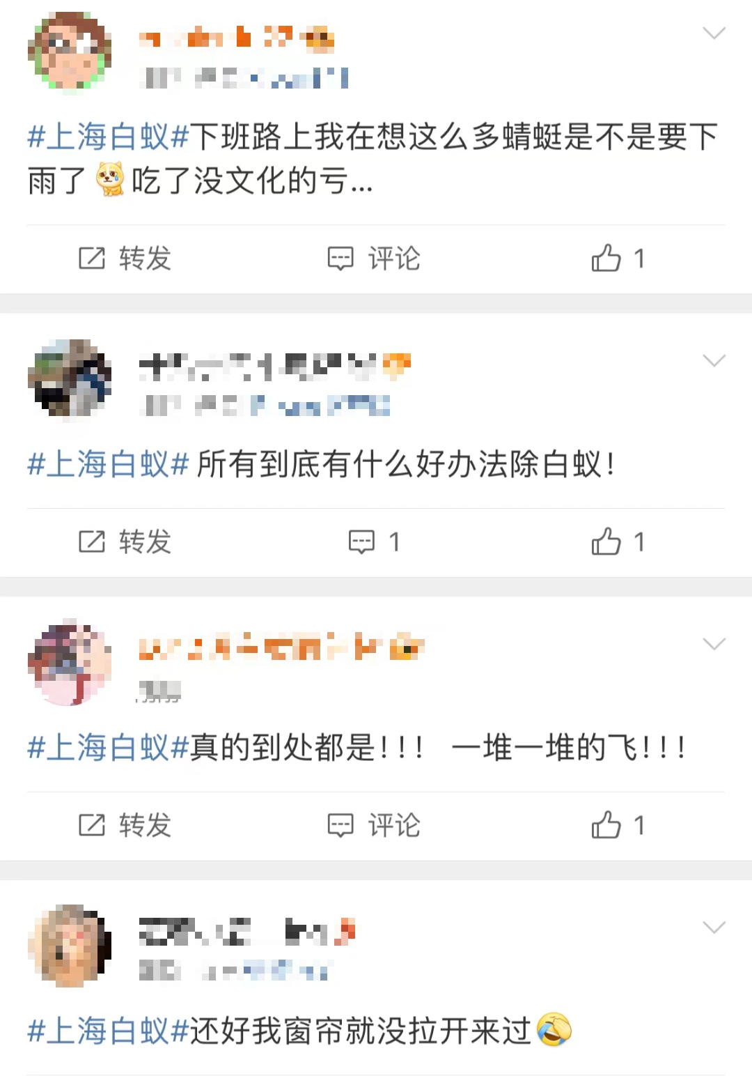 上海昨晚白蚁“大爆发”？冲上热搜！鸡皮疙瘩掉一地，这一波还将持续到...