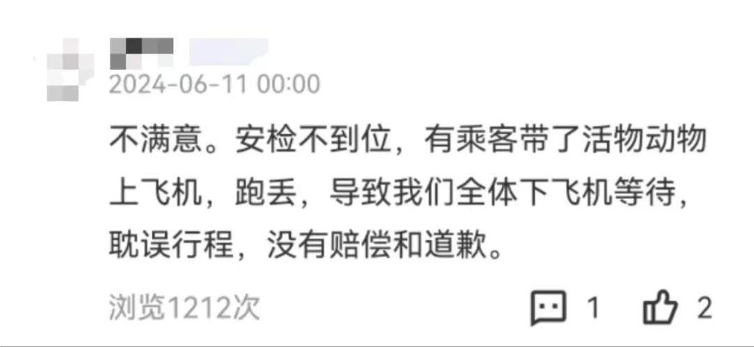 女子将宠物带上飞机致全体乘客被迫下机，上海机场警方通报：已行拘！