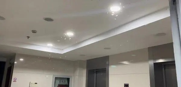 “直接往我脸上扑！”上海市民“崩溃”了，昨晚白蚁“军团”集体出击→