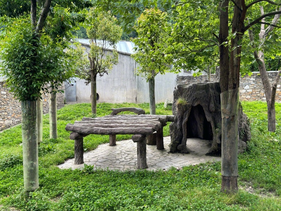 “福宝”新家曝光,位于神树坪基地熊猫幼儿园2号馆 “福宝”新家曝光,位于神树坪基地熊猫幼儿园2号馆