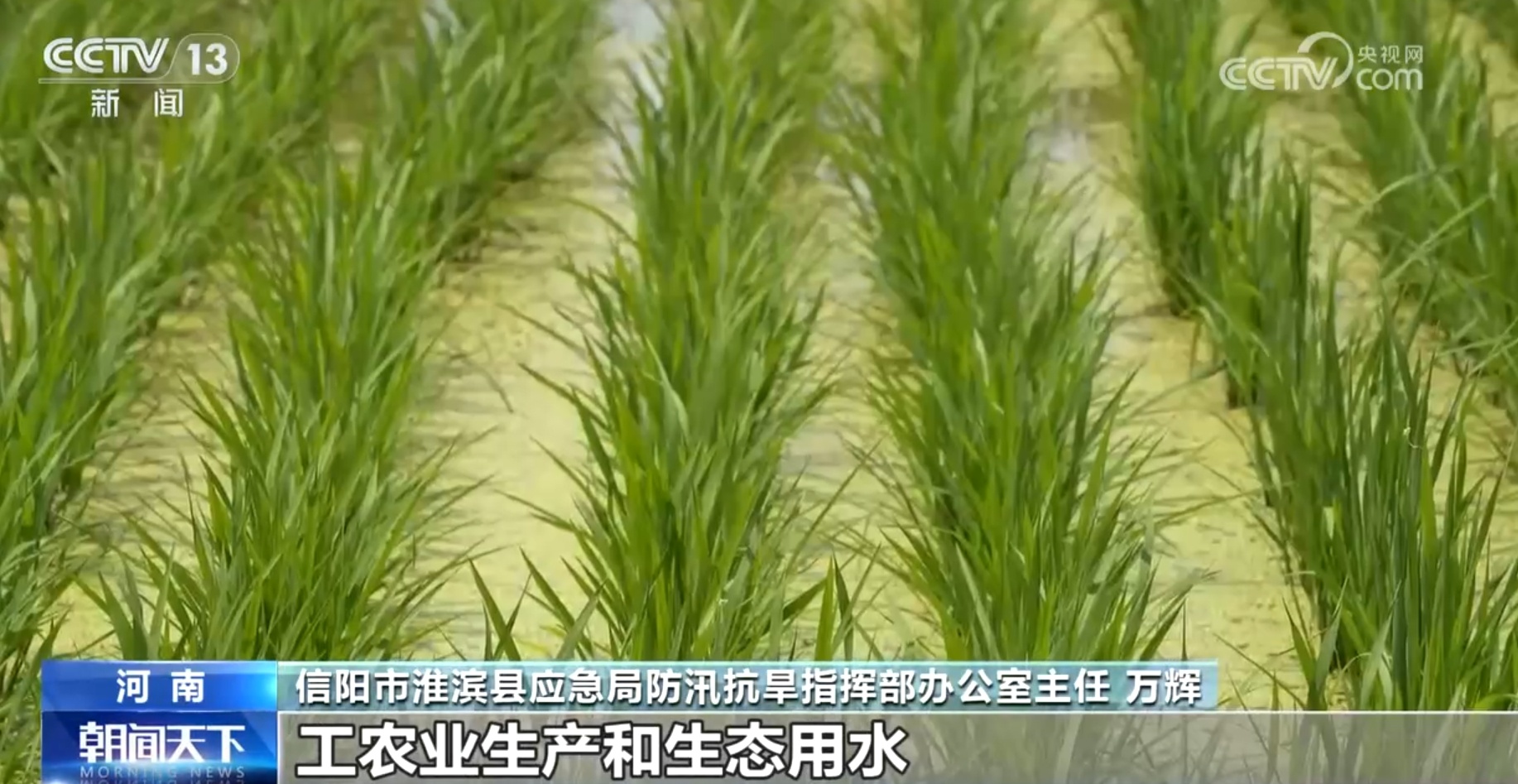 加强水源调度、新装备+新技术助力 各地确保高温下的“夏播”顺利进行