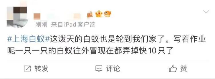 上海昨晚白蚁“大爆发”？冲上热搜！鸡皮疙瘩掉一地，这一波还将持续到...