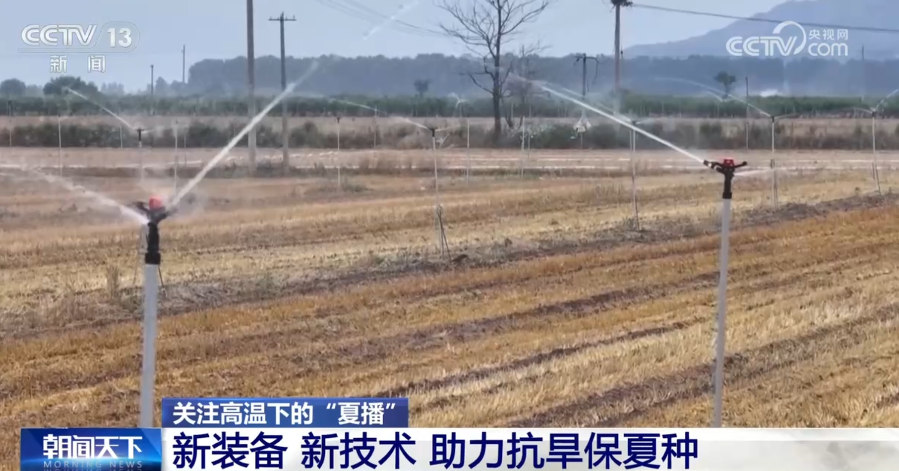 加强水源调度、新装备+新技术助力 各地确保高温下的“夏播”顺利进行