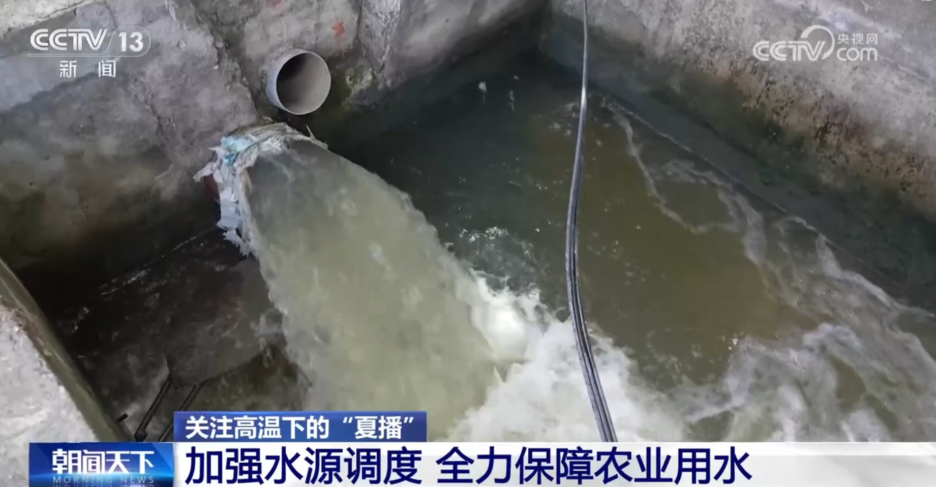 加强水源调度、新装备+新技术助力 各地确保高温下的“夏播”顺利进行