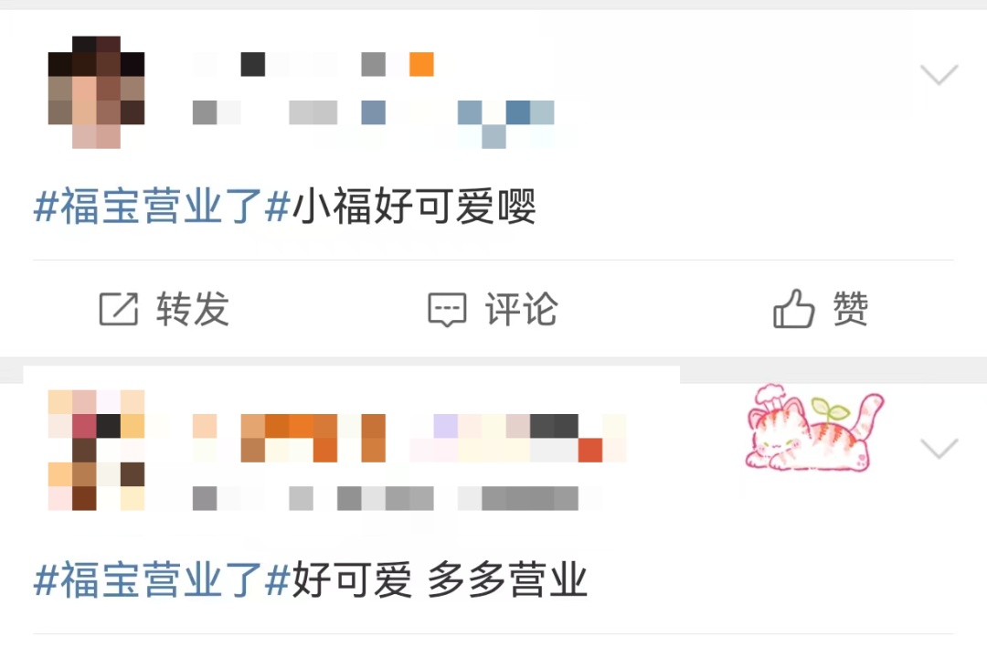 萌熊登场!“福宝”正式与公众见面,这份看“福”攻略请查收 萌熊登场!“福宝”正式与公众见面,这份看“福”攻略请查收