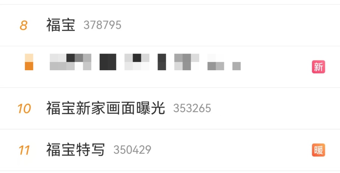 萌熊登场!“福宝”正式与公众见面,这份看“福”攻略请查收 萌熊登场!“福宝”正式与公众见面,这份看“福”攻略请查收
