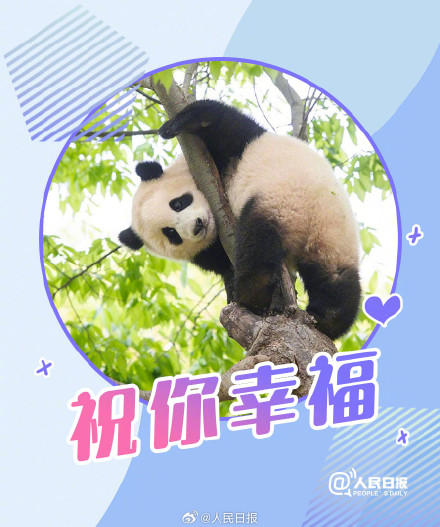 接福啦!收藏福宝送福表情包 接福啦!收藏福宝送福表情包