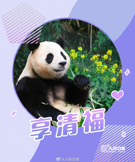 接福啦!收藏福宝送福表情包 接福啦!收藏福宝送福表情包