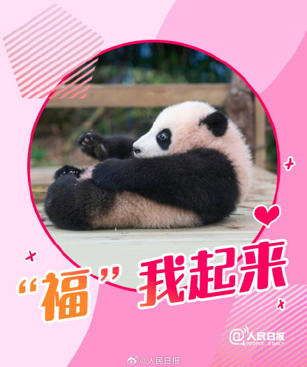 接福啦!收藏福宝送福表情包 接福啦!收藏福宝送福表情包
