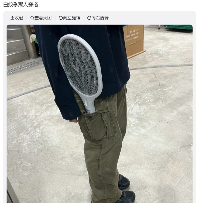 “直接往我脸上扑！”上海市民“崩溃”了，昨晚白蚁“军团”集体出击→