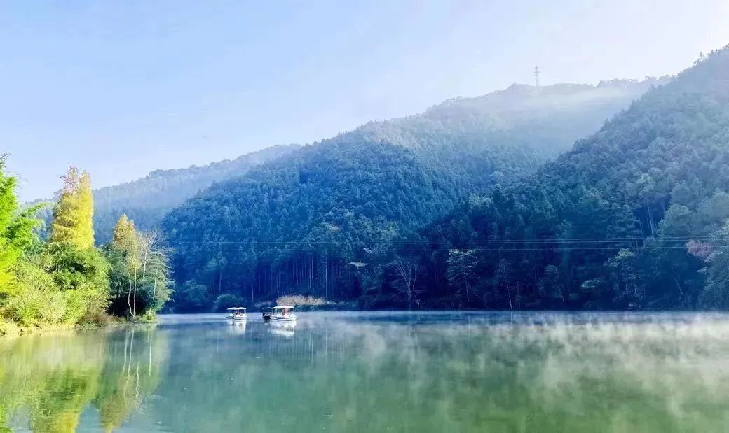 全国多地官宣：即日起，免票！