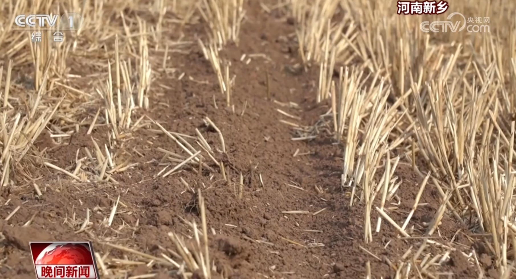 各地密切监测旱情发展 多措并举、全力以赴抗旱保夏种