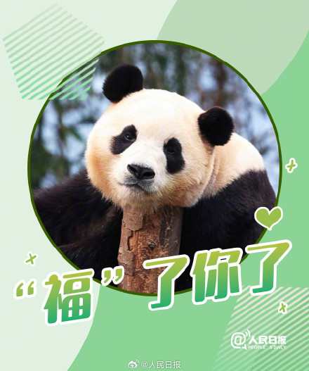 接福啦!收藏福宝送福表情包 接福啦!收藏福宝送福表情包