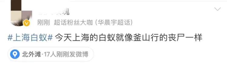 上海昨晚白蚁“大爆发”？冲上热搜！鸡皮疙瘩掉一地……