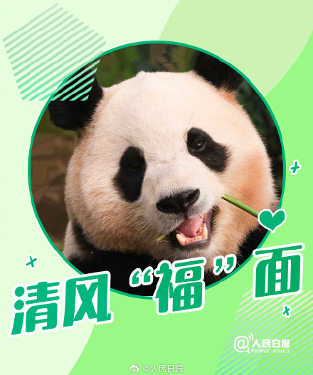 接福啦!收藏福宝送福表情包 接福啦!收藏福宝送福表情包