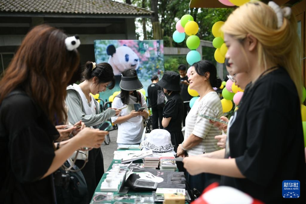 大熊猫“香香”迎来七岁生日