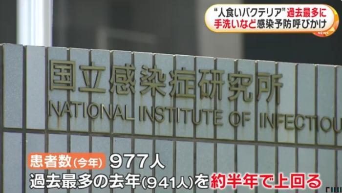 日本“食人菌”肆虐 2024年感染人数已超2023全年