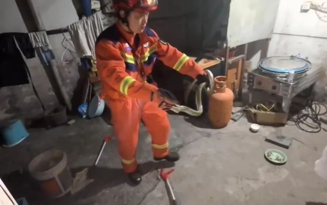 惊！深夜，镇江一居民家中爬出……