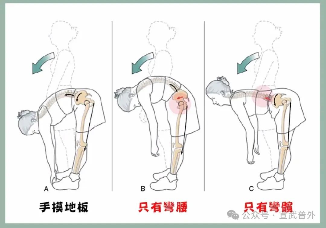 你弯腰的姿势正确吗? 你弯腰的姿势正确吗?