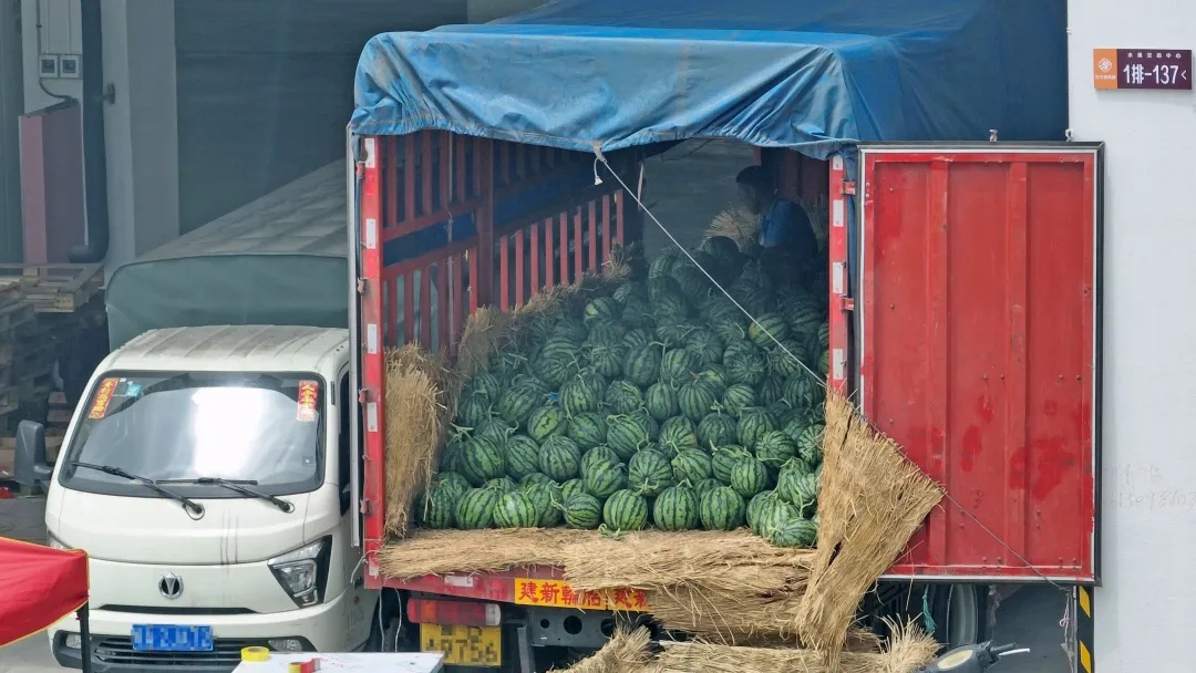 价格大降！低至几毛钱一斤！合肥正大量上市