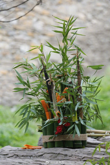 福宝竹子蛋糕上有束小红花