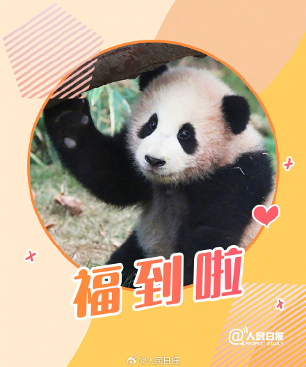 接福啦!收藏福宝送福表情包 接福啦!收藏福宝送福表情包
