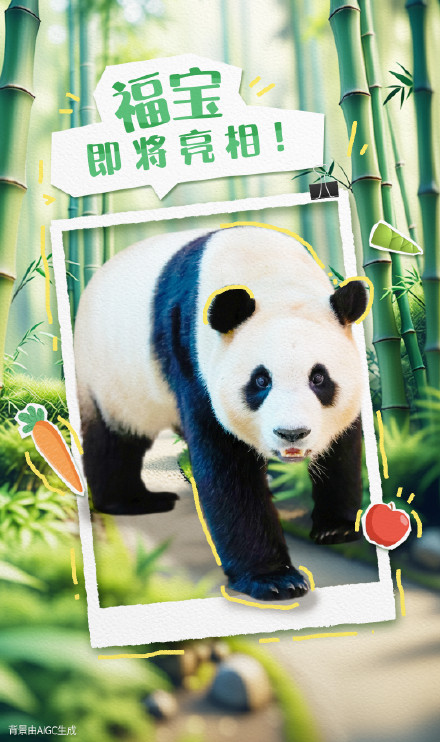 祝福！大熊猫香香7岁啦
